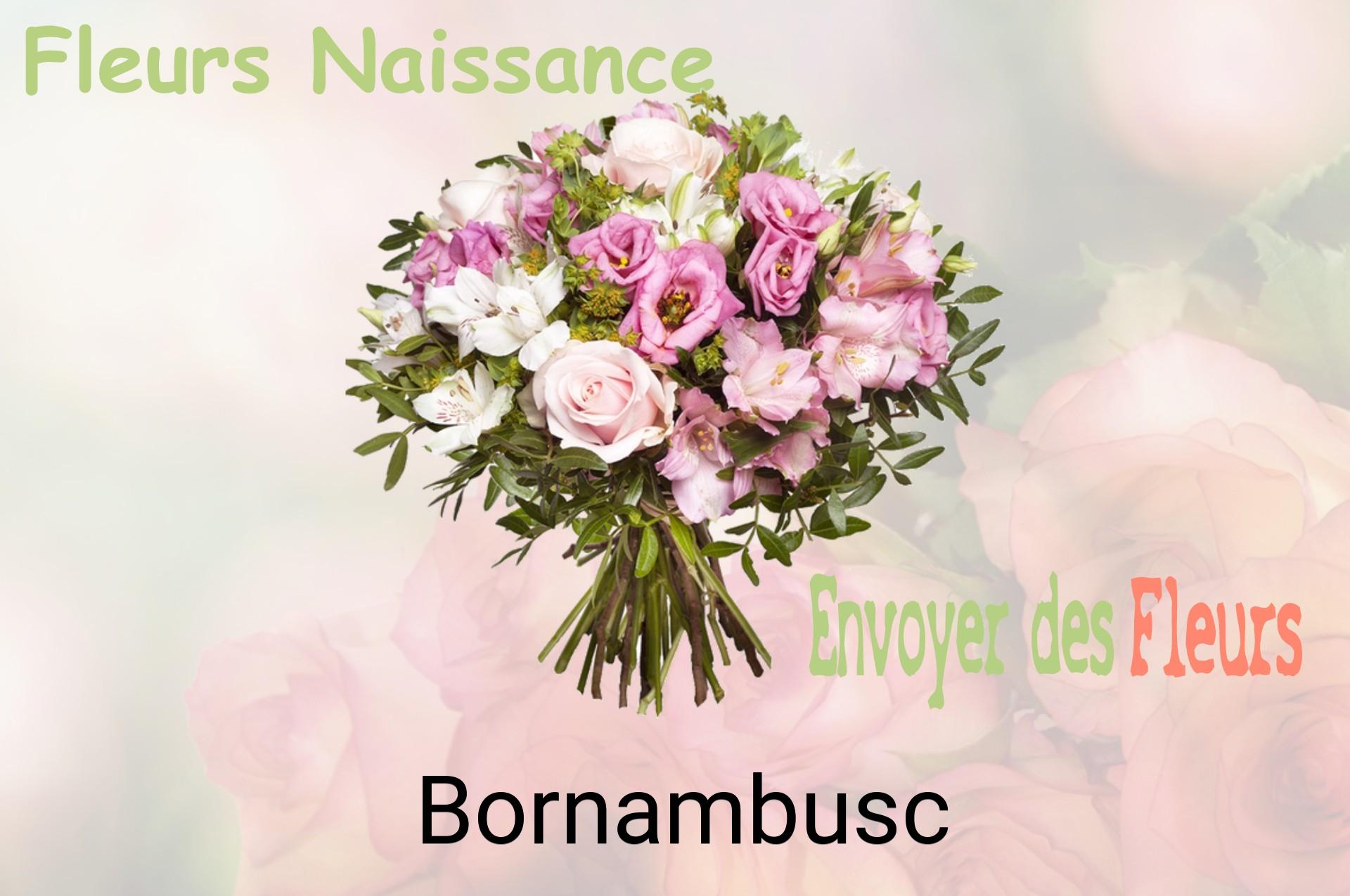Bouquet de fleurs de naissance livré à Bornambusc